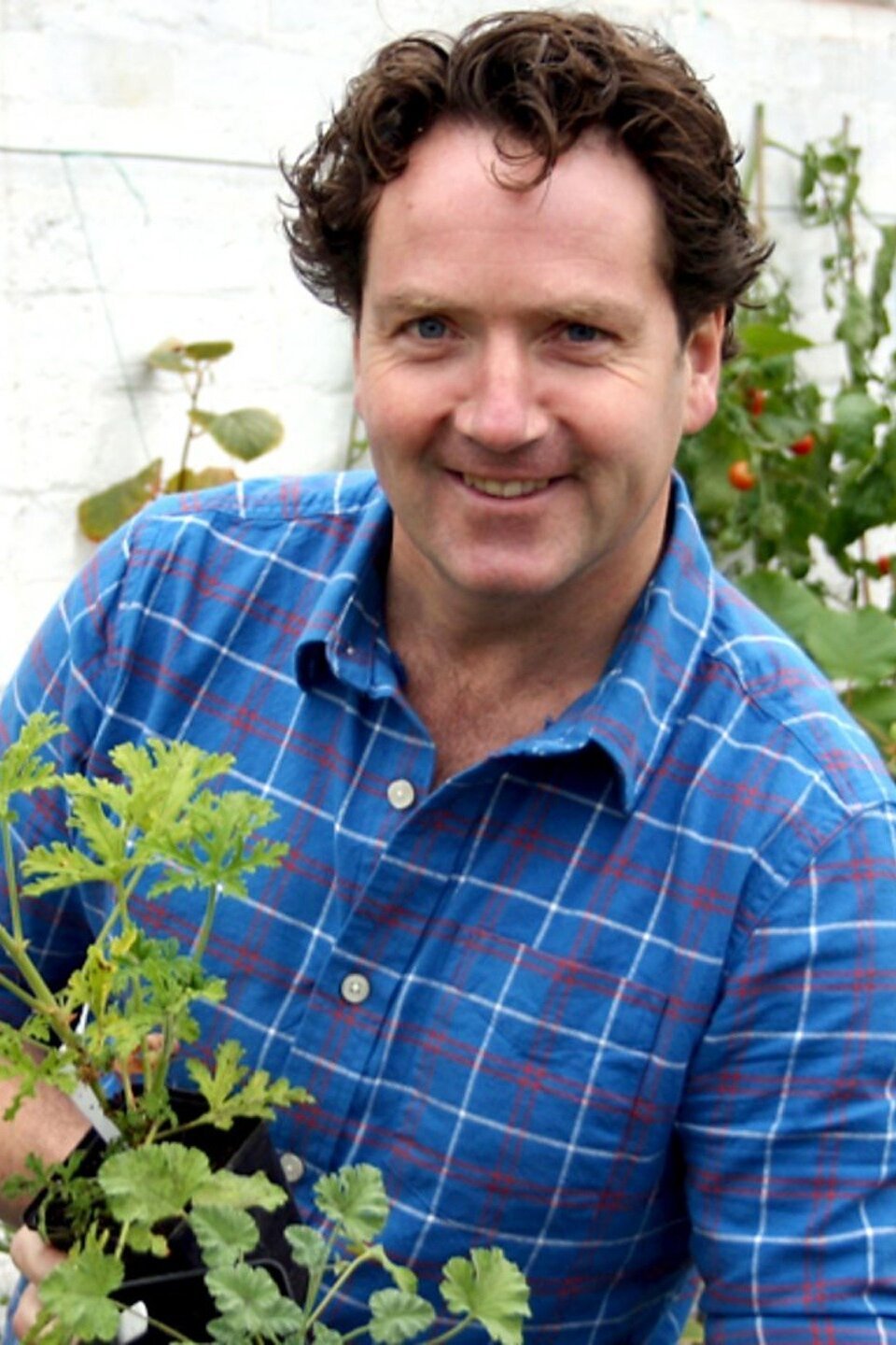 Glasshouses & Shrubs Pictures Rotten Tomatoes