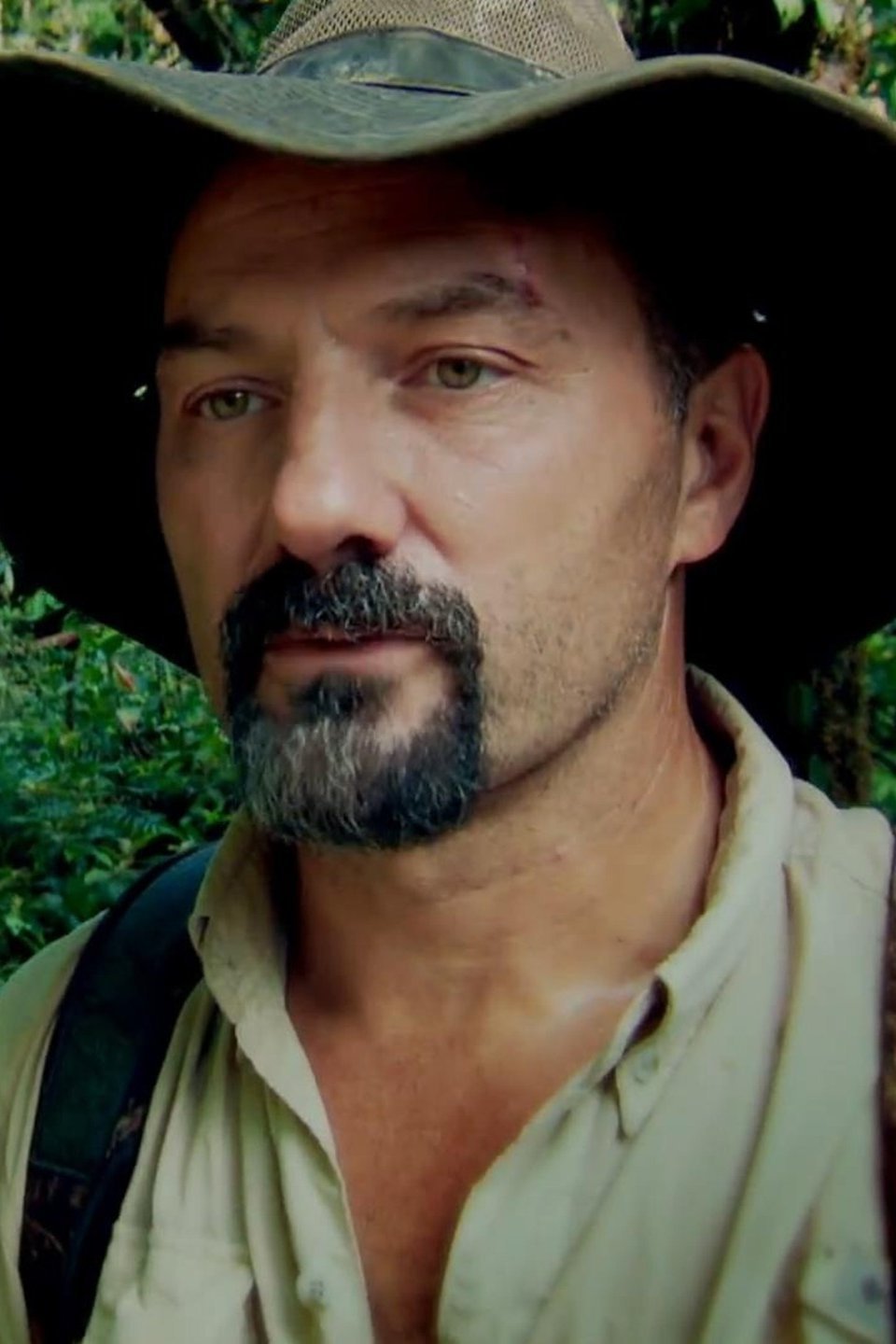 Fantasy Land Pictures Rotten Tomatoes