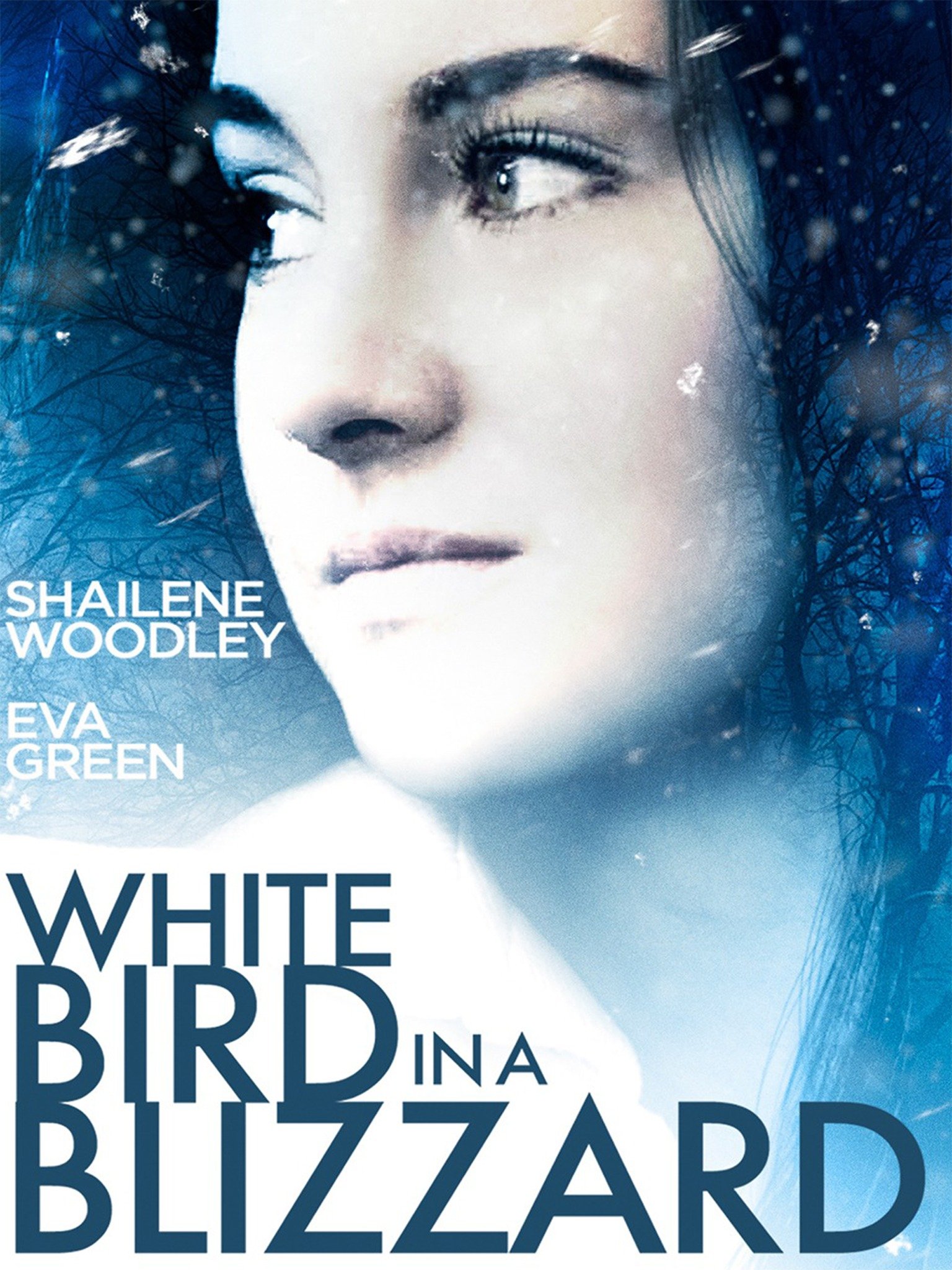 White Bird in a Blizzard Movie Reviews