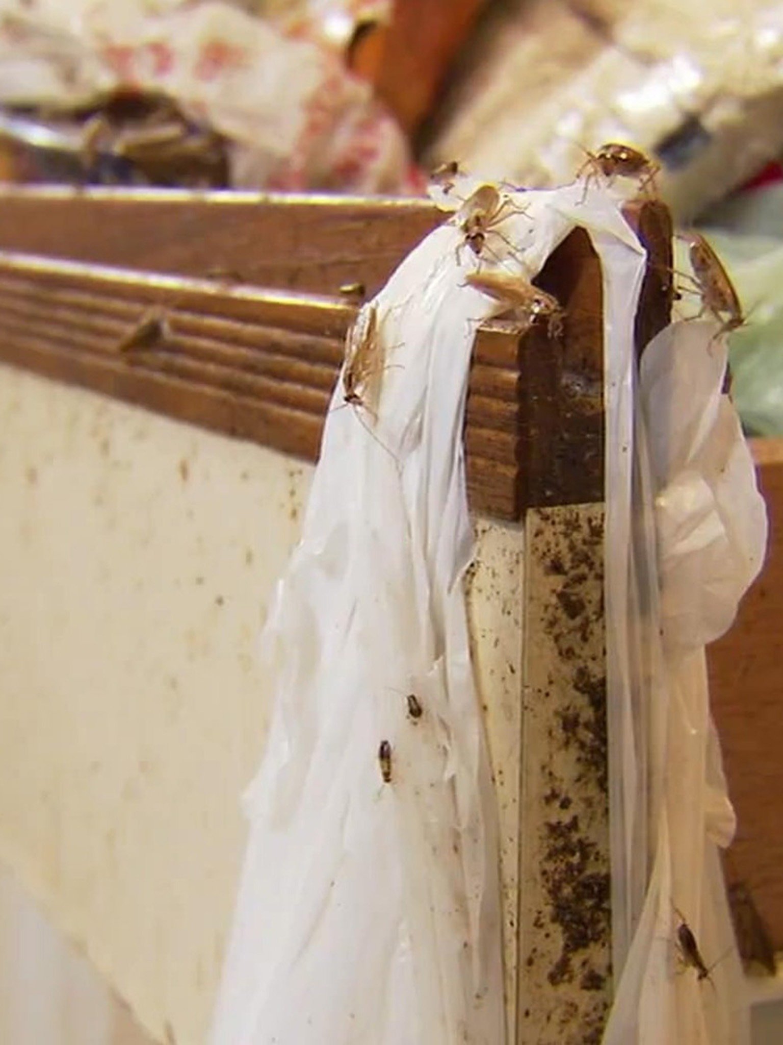 A Graveyard of Junk Pictures Rotten Tomatoes