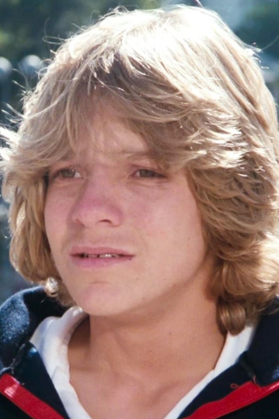 GoCart Terror Pictures Rotten Tomatoes