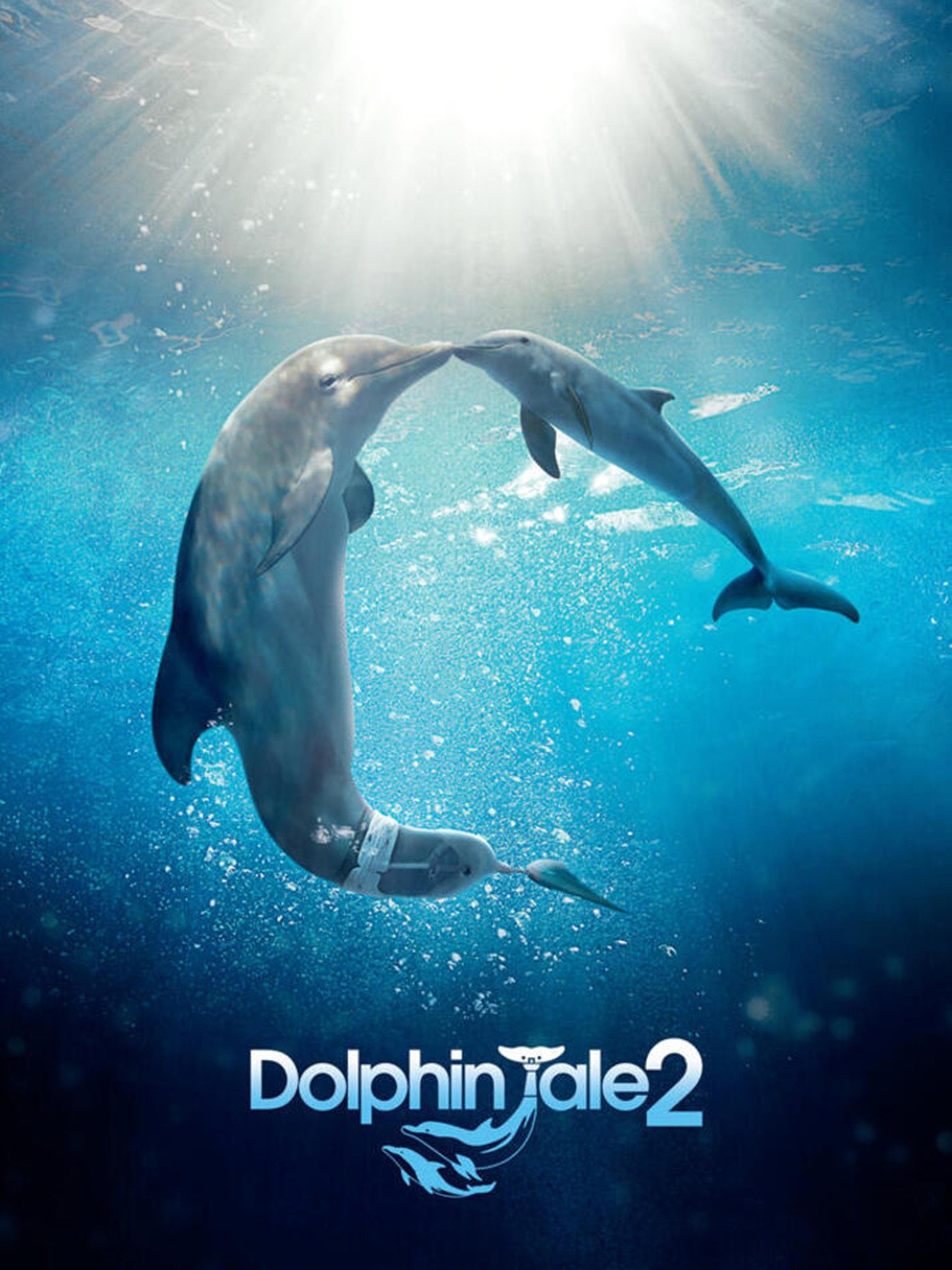 Dolphin Tale 2 - Movie Reviews