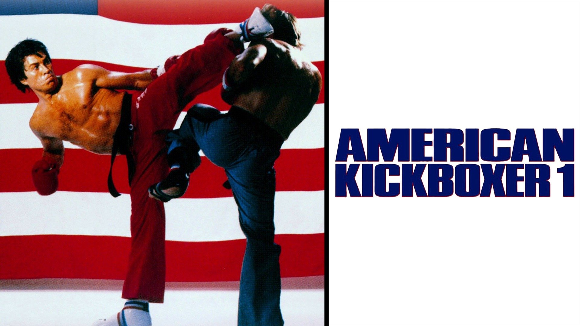 American Kickboxer 1 photo pic