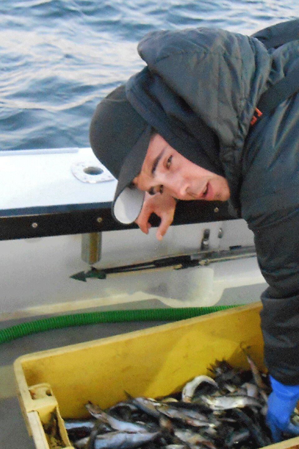 Blue Grit Pictures Rotten Tomatoes