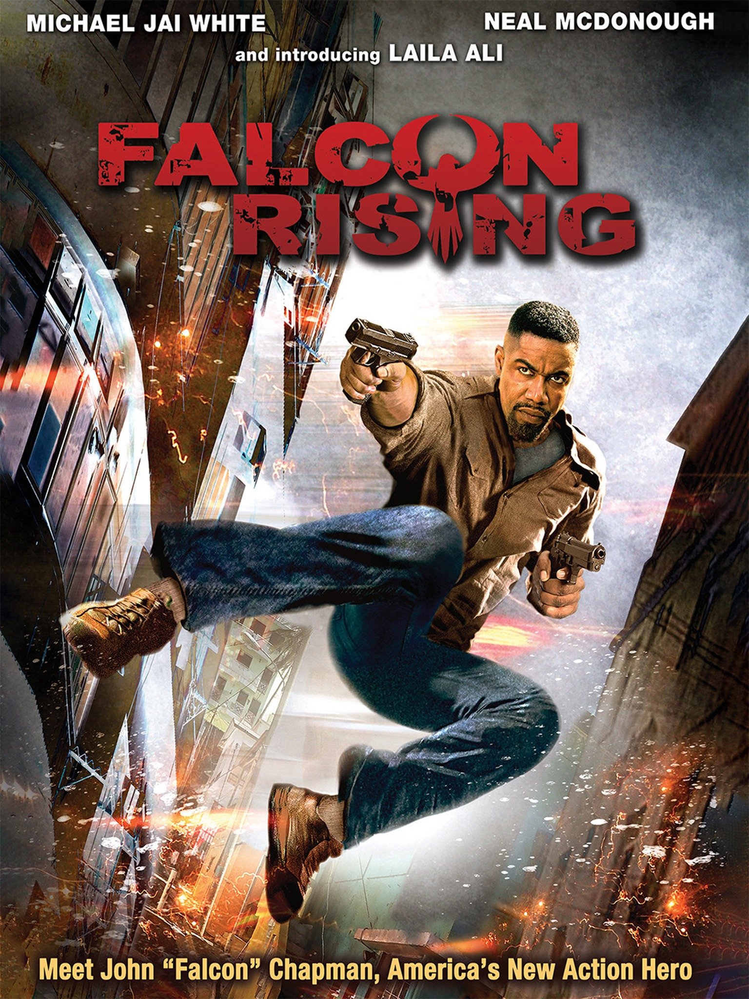 falcon rising