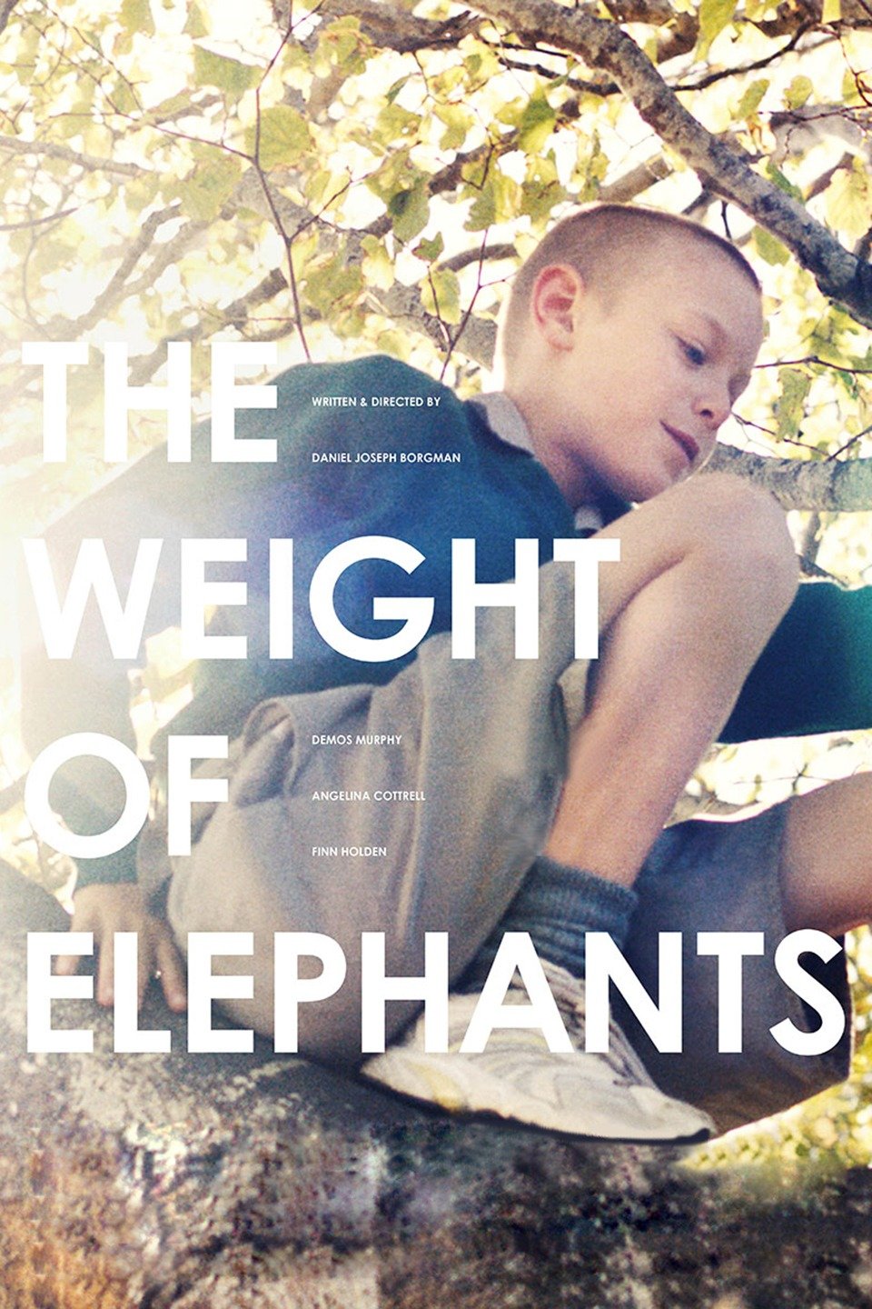 The Weight of Elephants Pictures Rotten Tomatoes