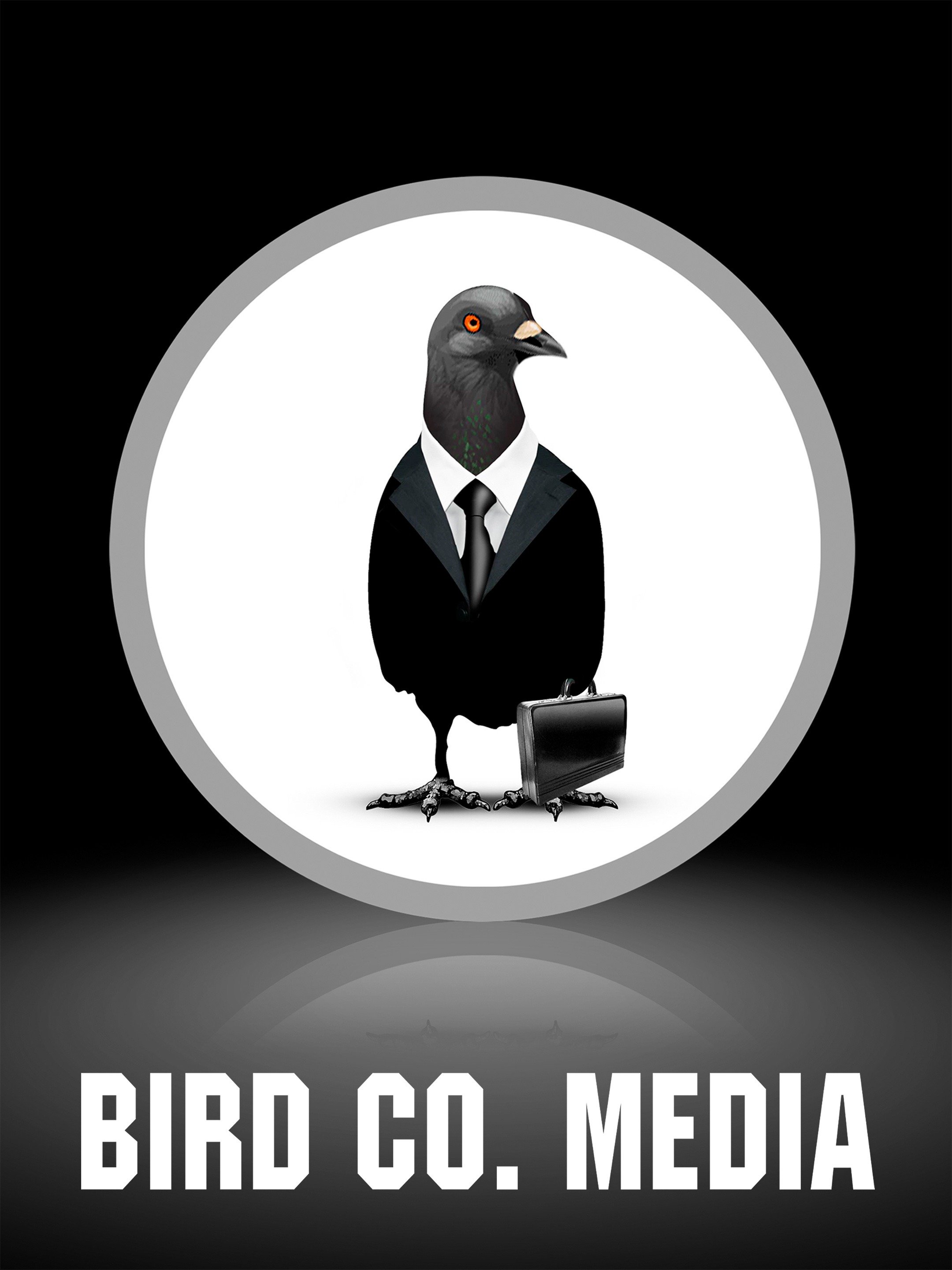 Bird Co. Media Movie Reviews