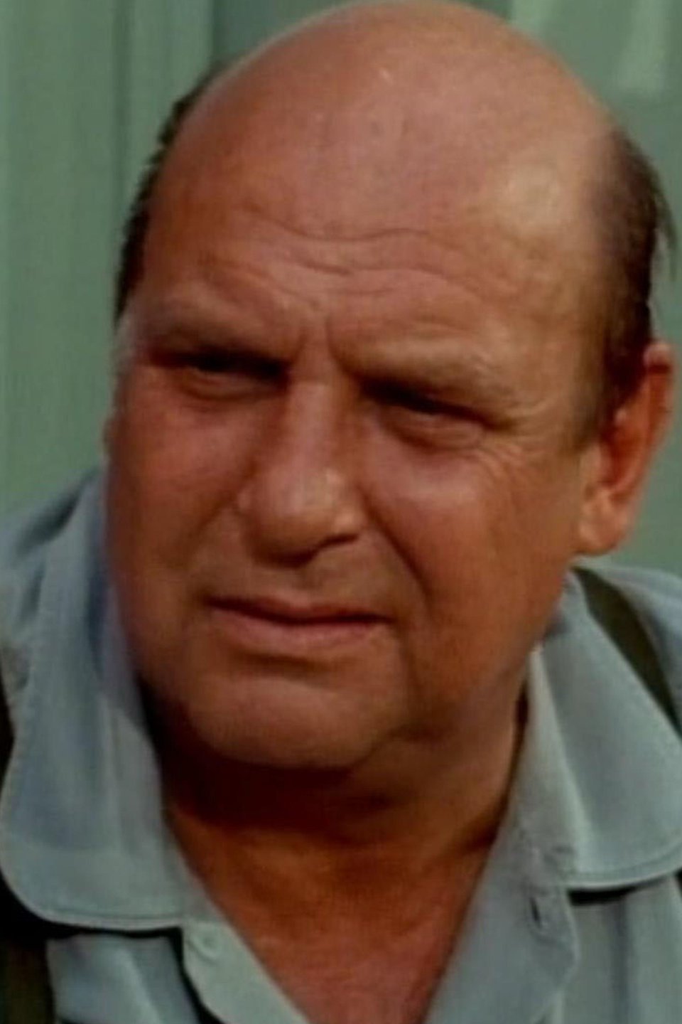 Fat, Fat, the Water Rat Pictures Rotten Tomatoes