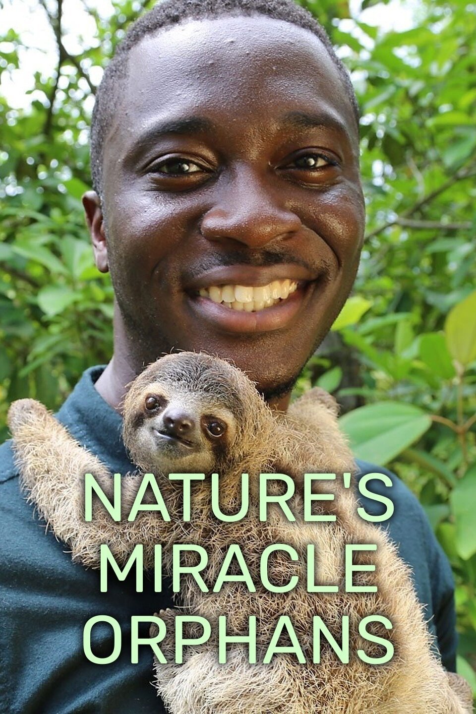 Nature's Miracle Orphans Rotten Tomatoes