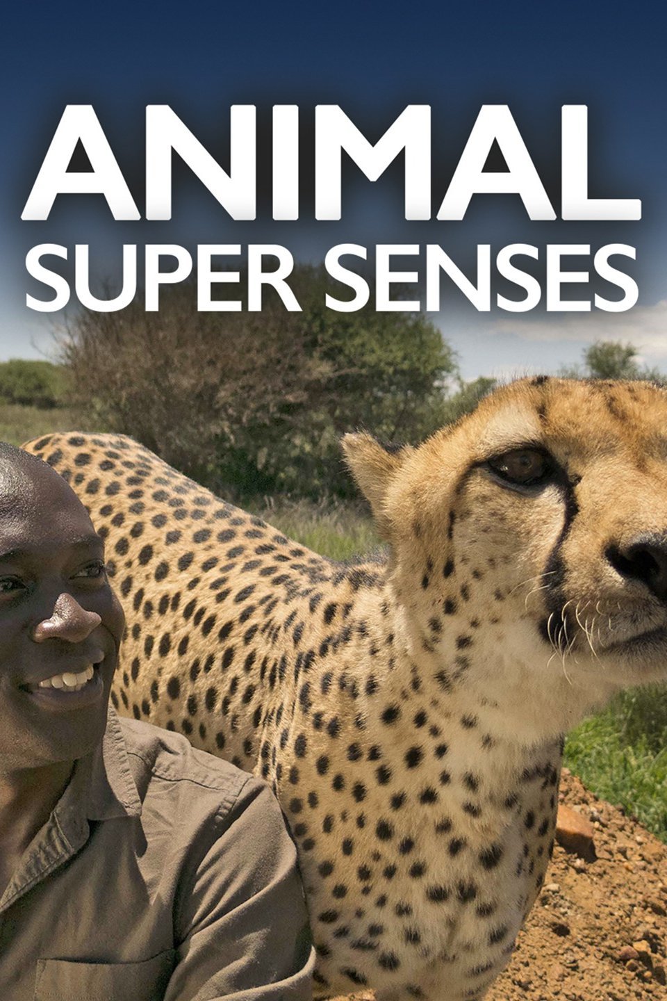 Animal Super Senses - Rotten Tomatoes