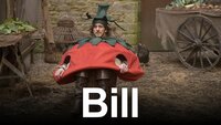 Bill (UK)