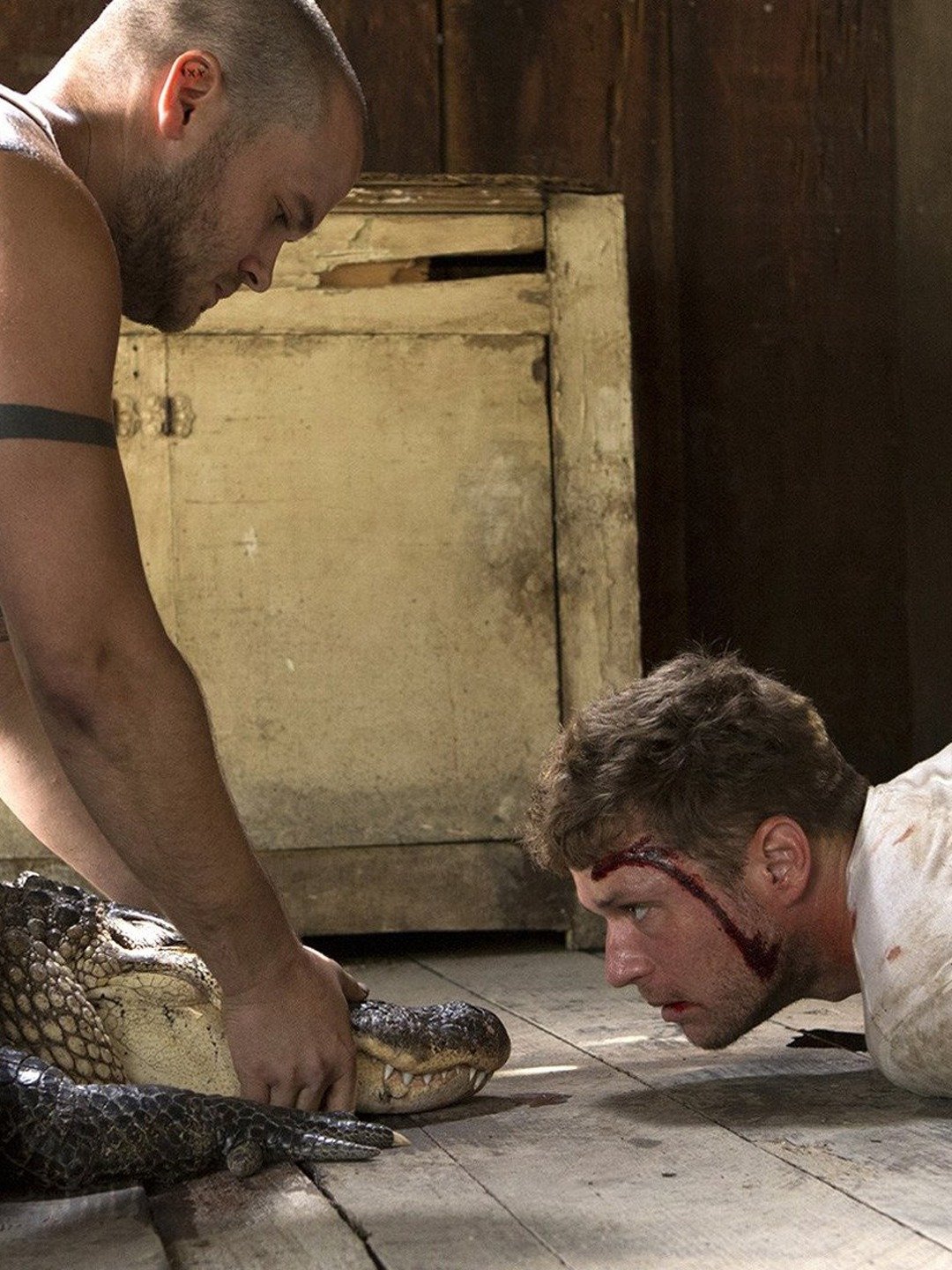  Trailers & Videos Rotten Tomatoes