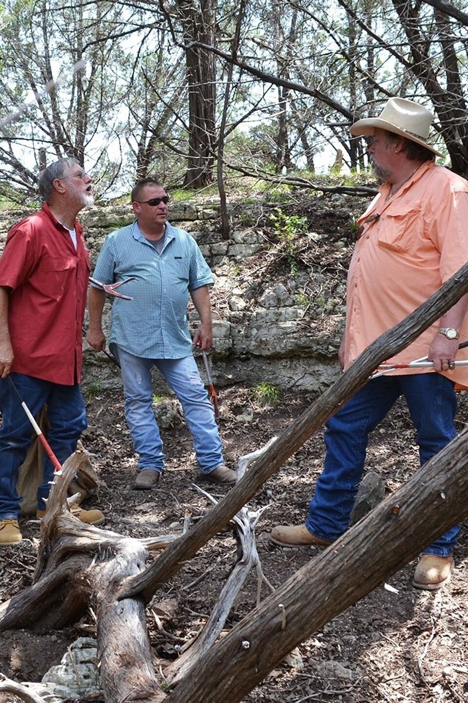 Rattle Royale Pictures Rotten Tomatoes