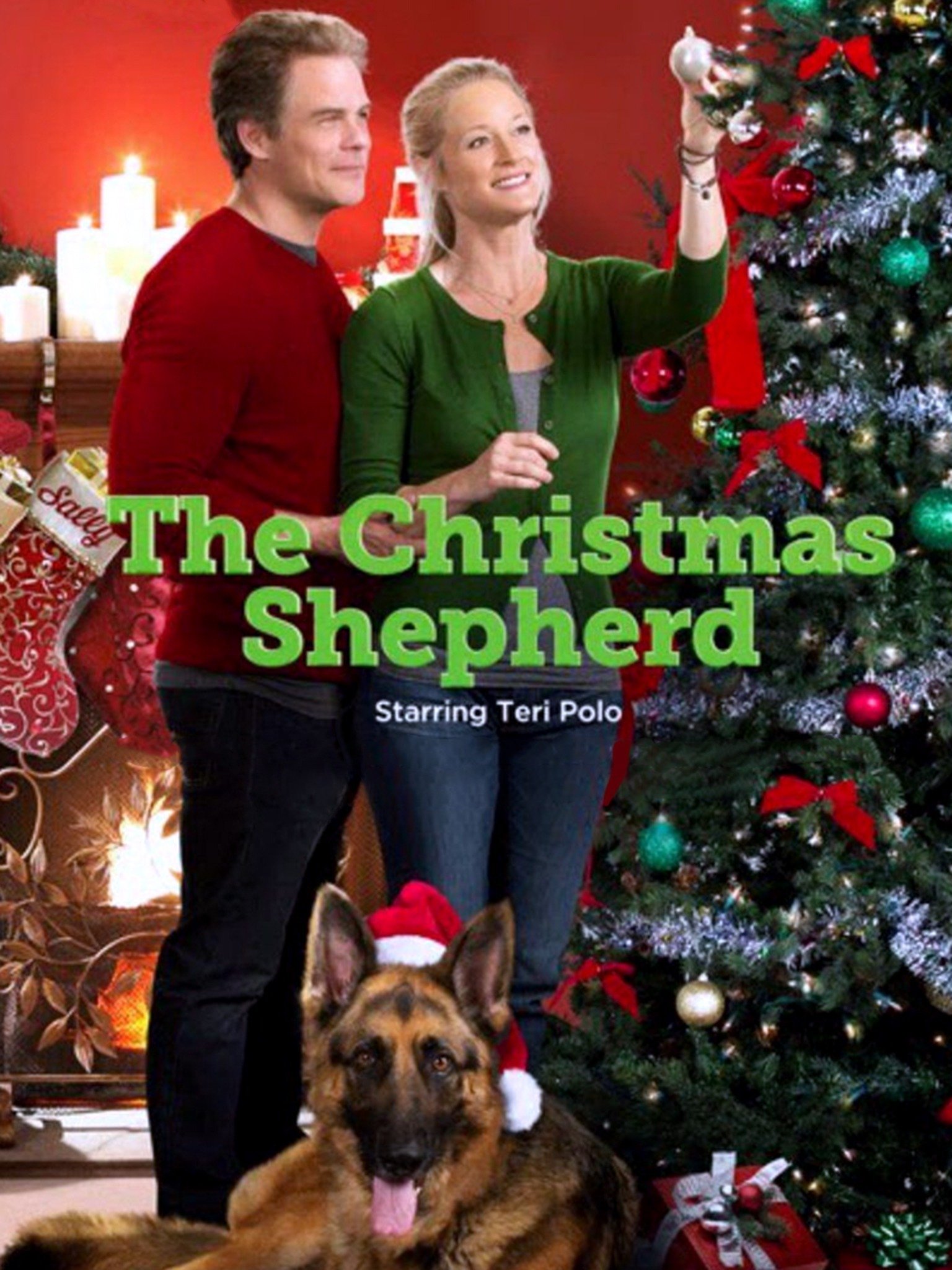 The Christmas Shepherd Pictures Rotten Tomatoes