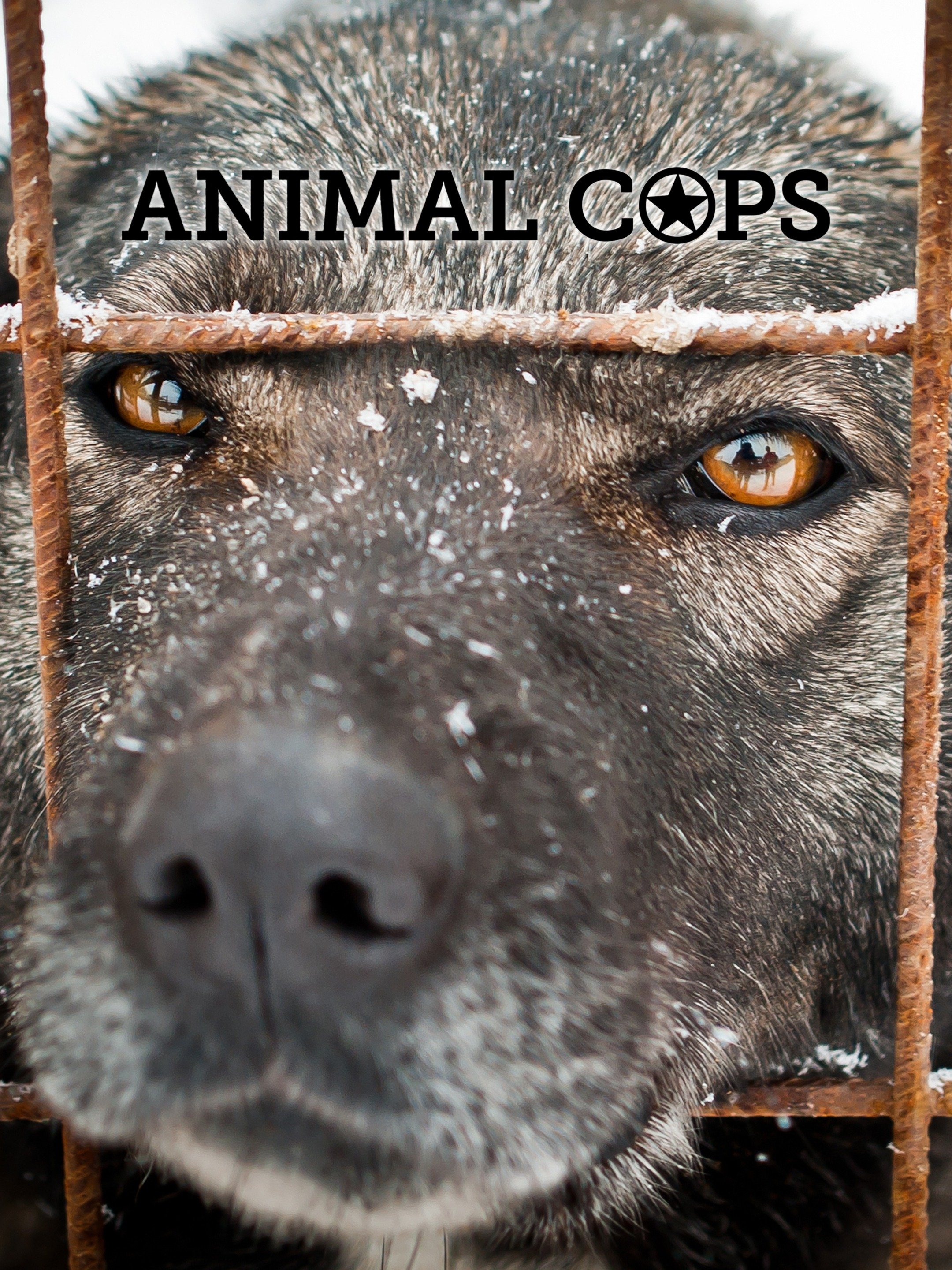Animal Cops Houston Rotten Tomatoes