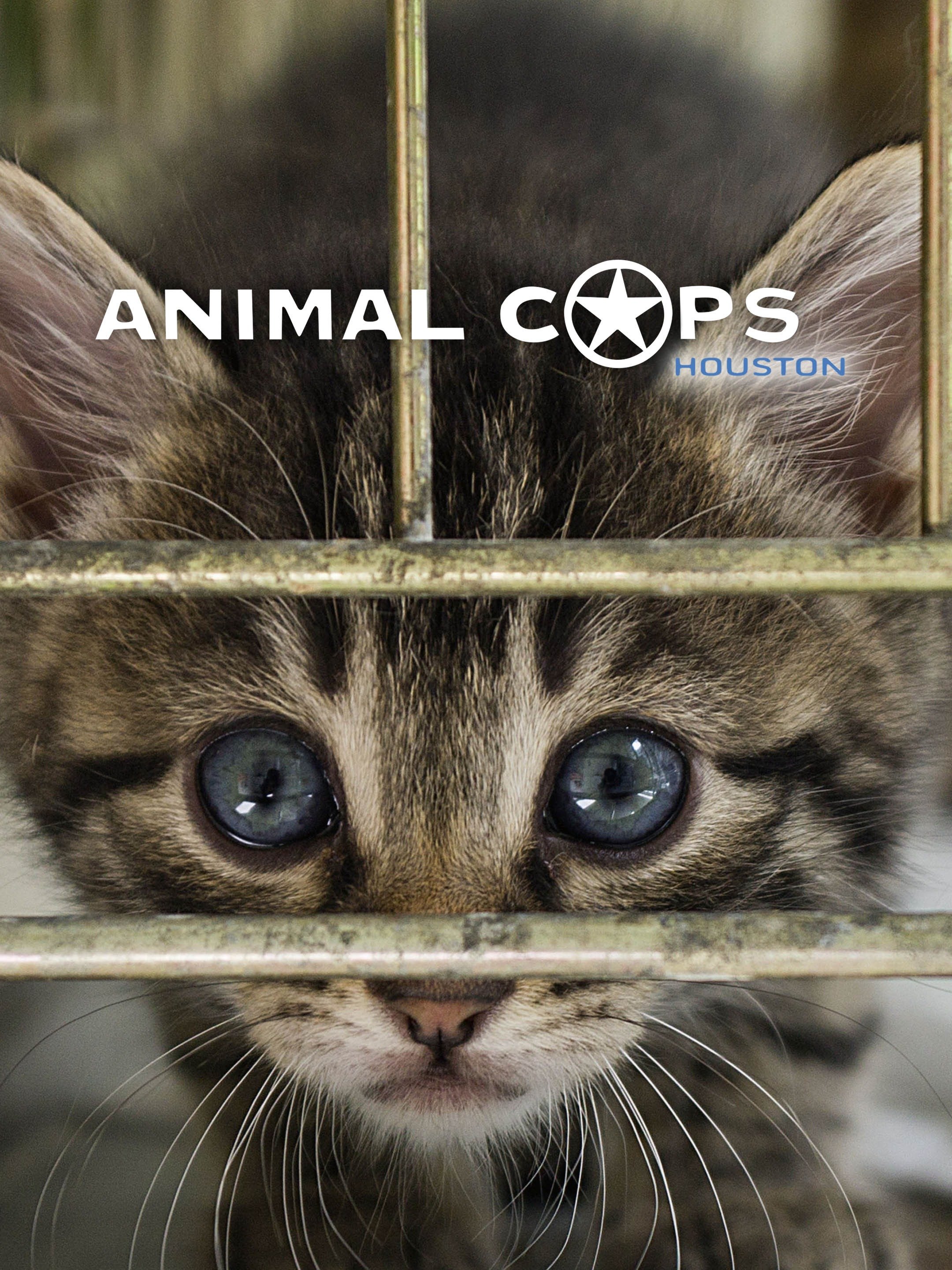 Animal Cops Houston Season 18 Pictures Rotten Tomatoes