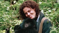 Gorilas en la niebla: La aventura de Dian Fossey