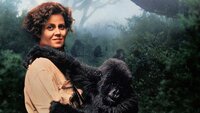Gorilas en la niebla: La aventura de Dian Fossey