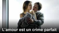 El Amor es un Crimen Perfecto