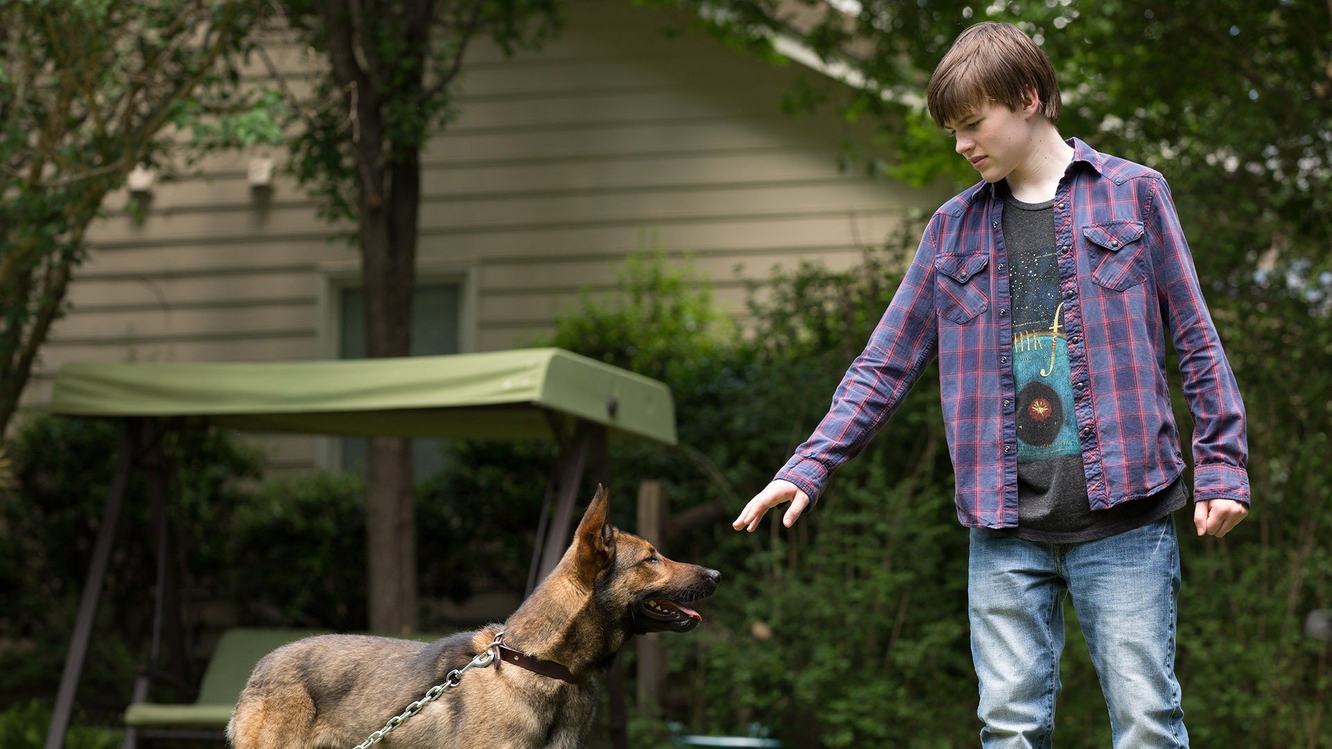 Max (2015)