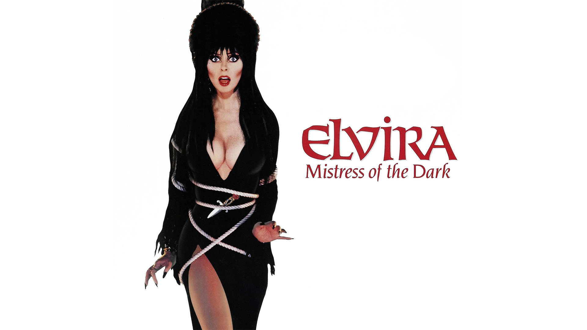 Elvira, Mistress of the Dark photo