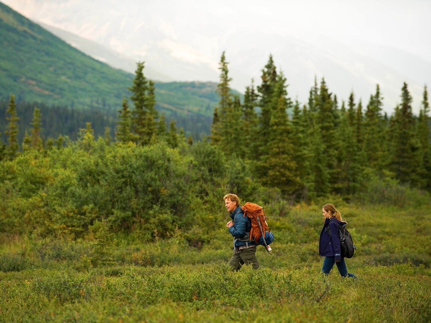 Wildlike (2014)