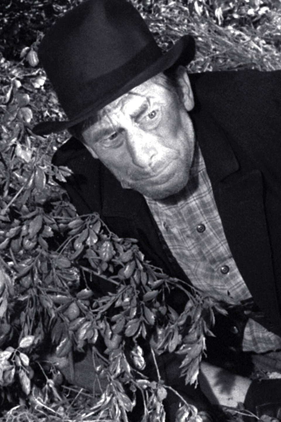 Louie Pheeters Pictures Rotten Tomatoes