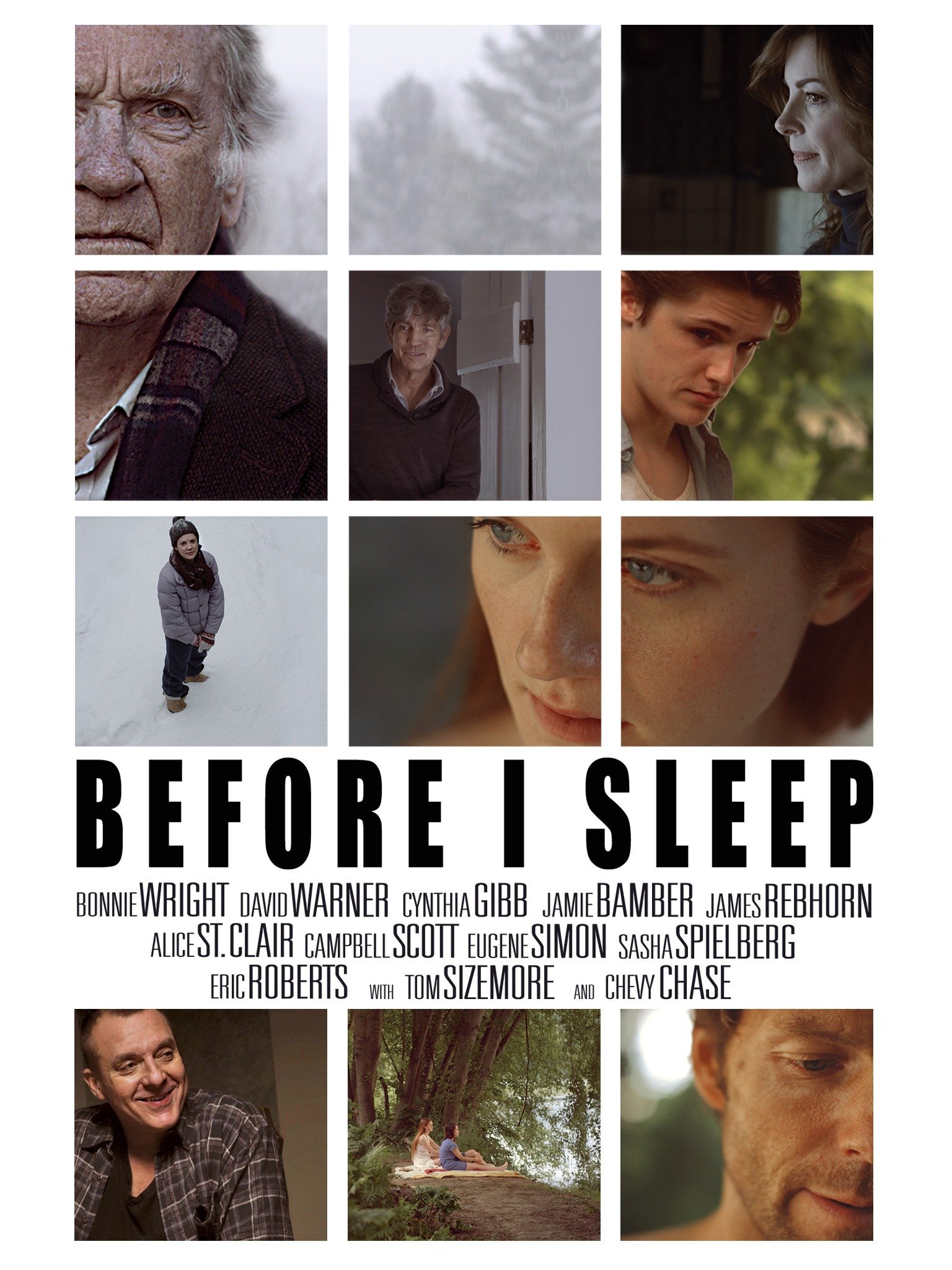 before-i-sleep-2013-rotten-tomatoes