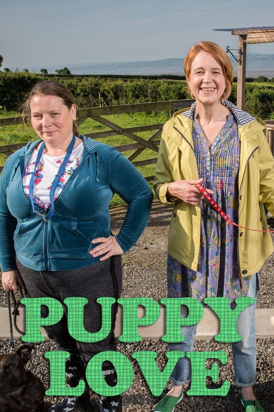 Puppy Love Rotten Tomatoes