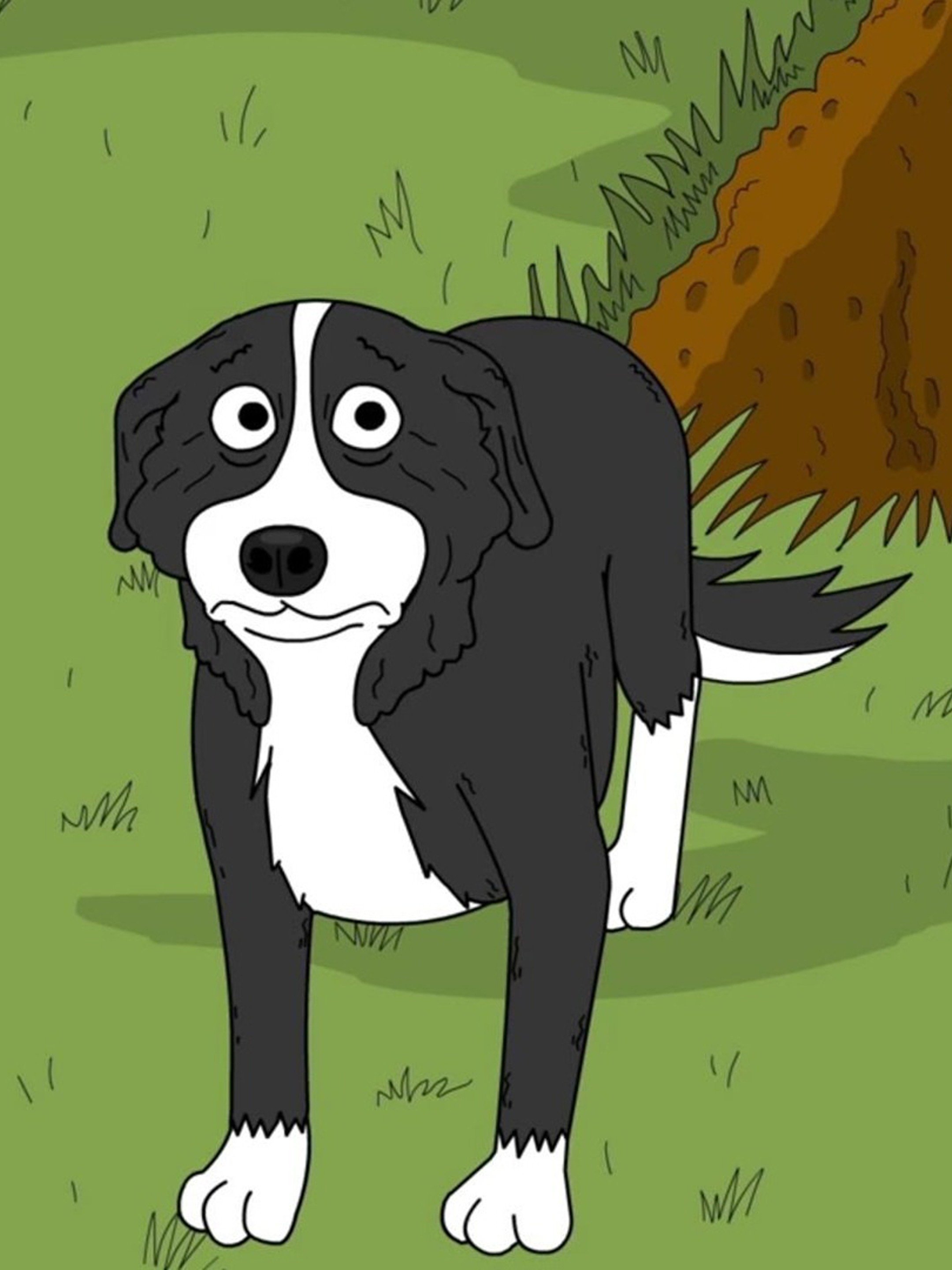 Where Is Mr. Pickles? Pictures - Rotten Tomatoes