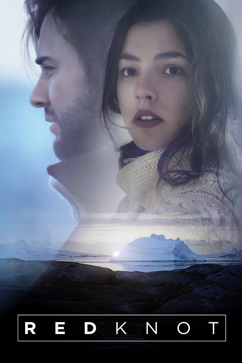 Red Knot Rotten Tomatoes