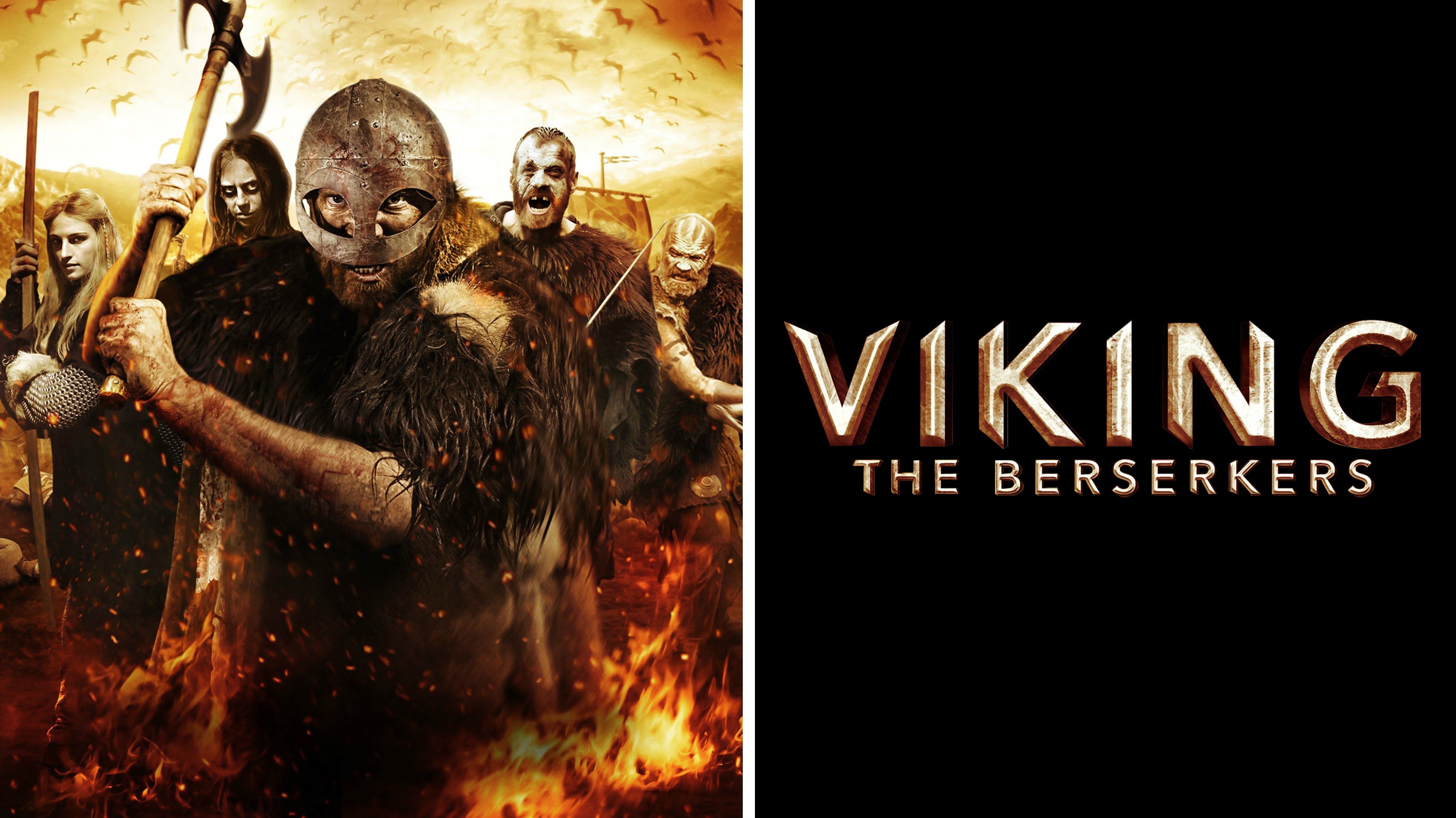 Viking Berserkers Movie