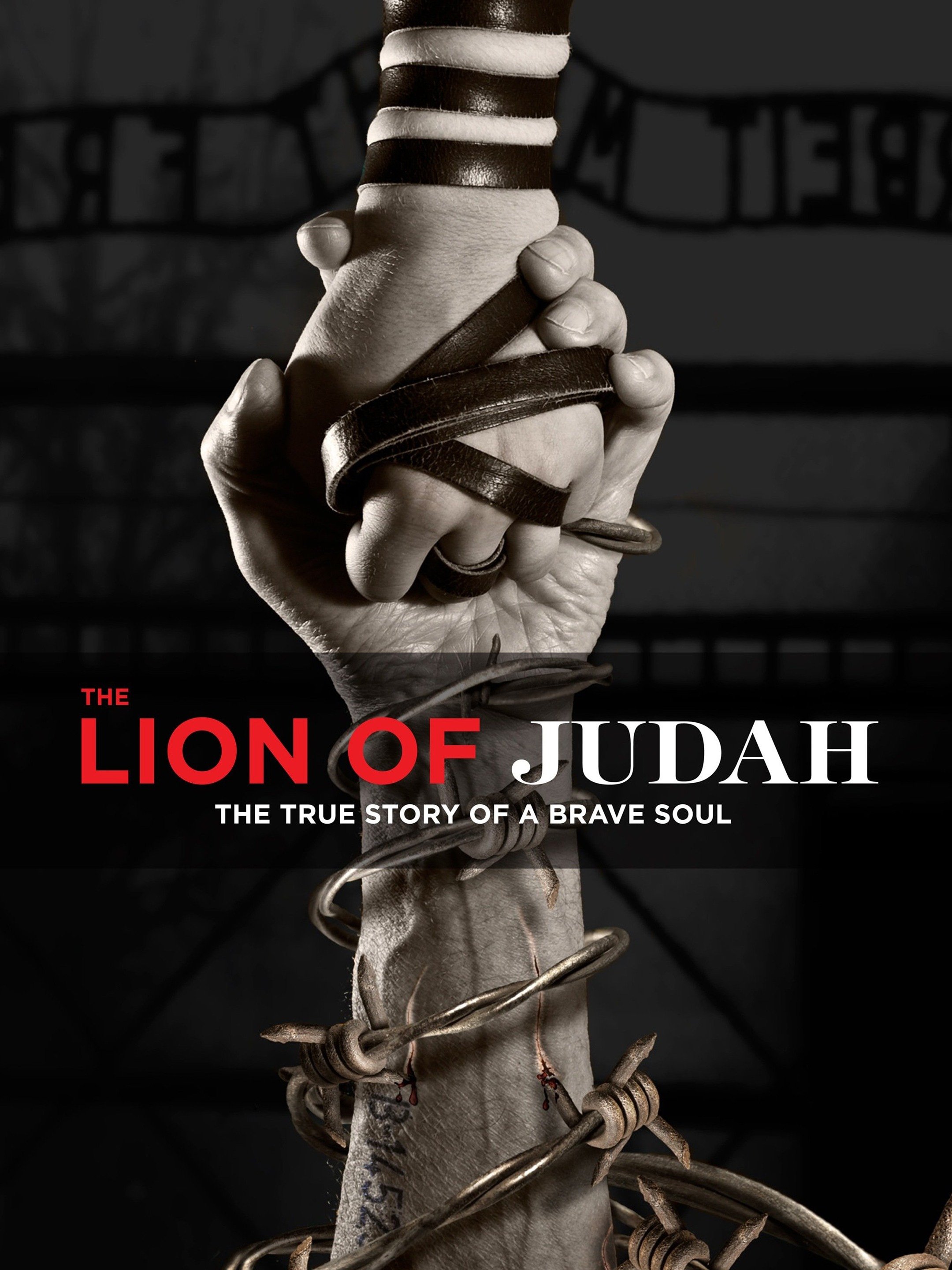 the lion of judah movie review