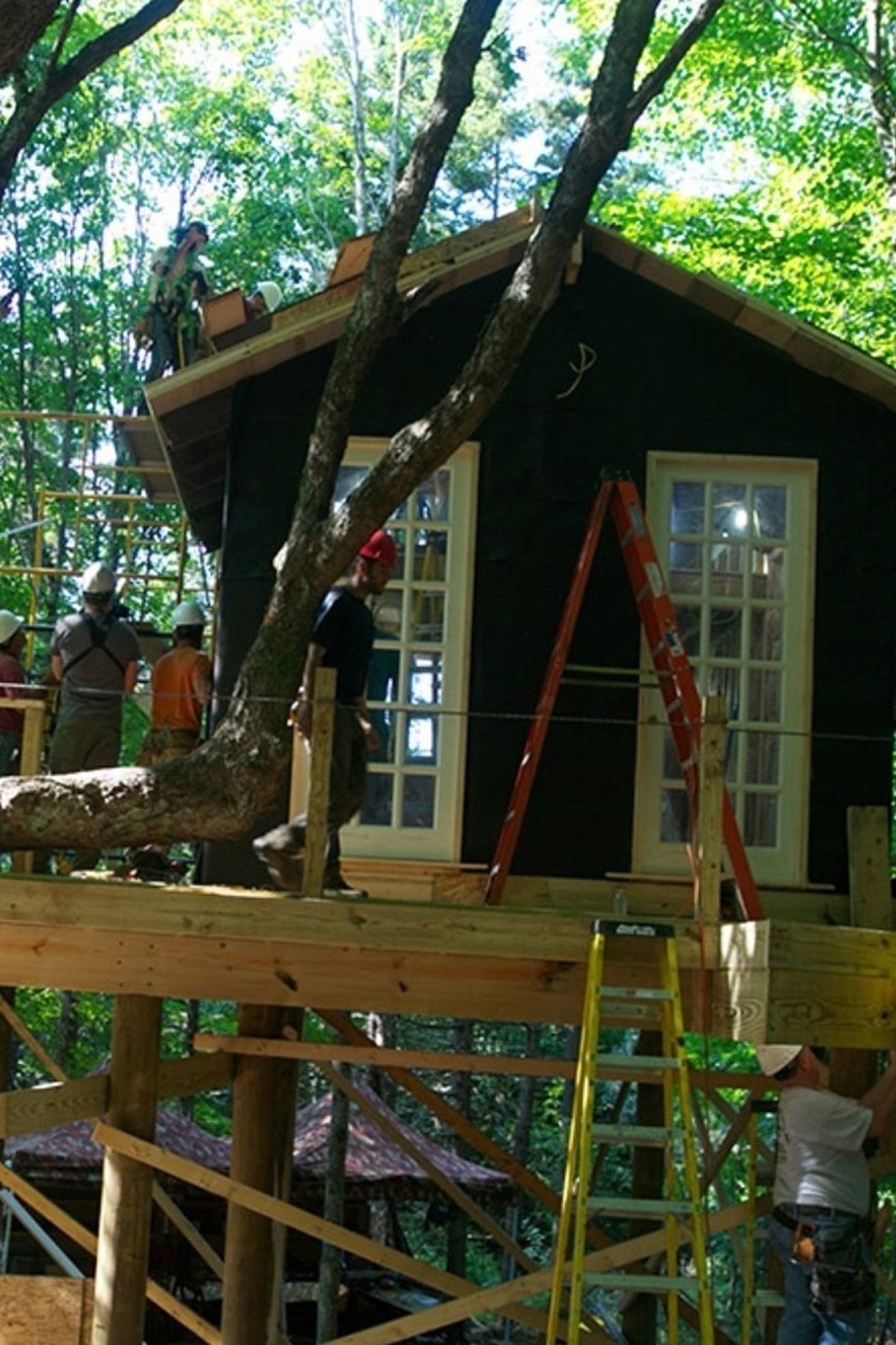 Treehouse Cabin Pictures Rotten Tomatoes