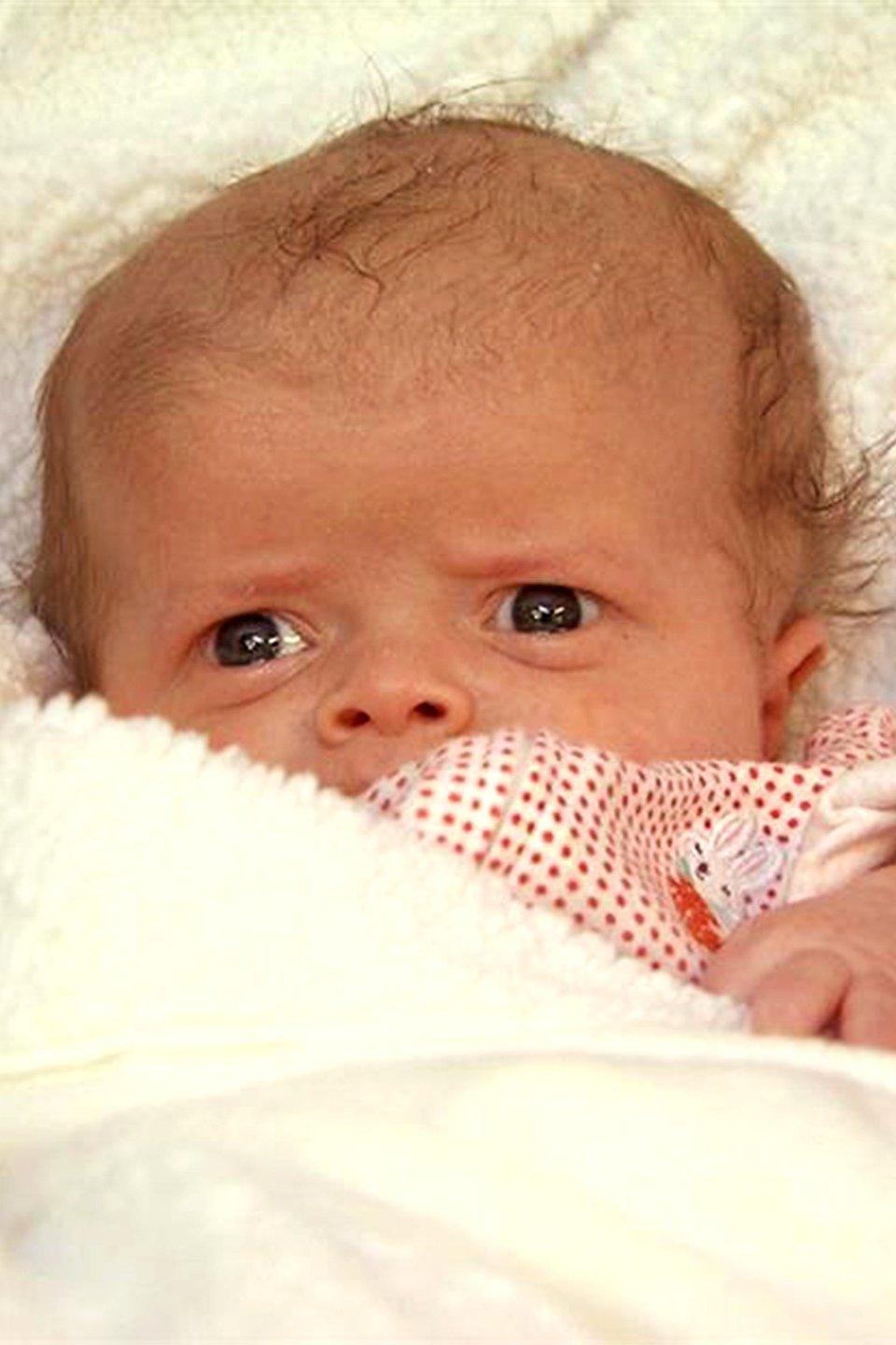 Safety First Pictures Rotten Tomatoes