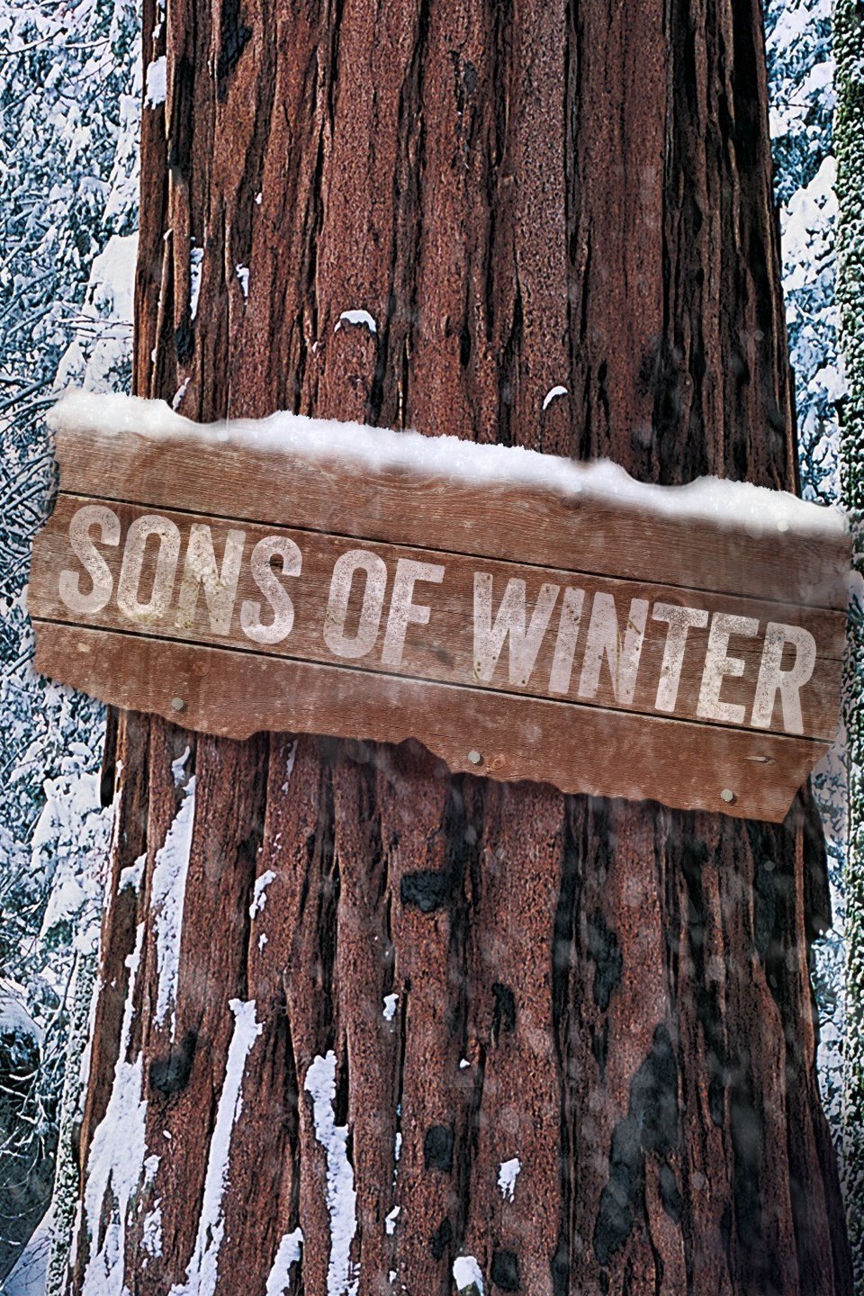 son of force winter