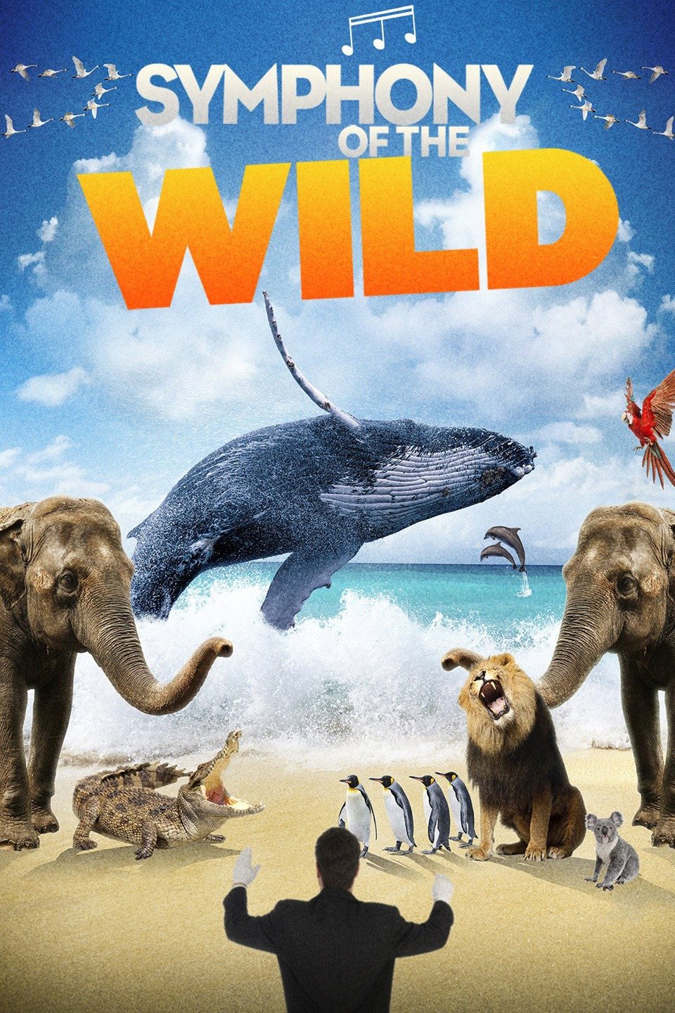 Symphony of the Wild Pictures - Rotten Tomatoes