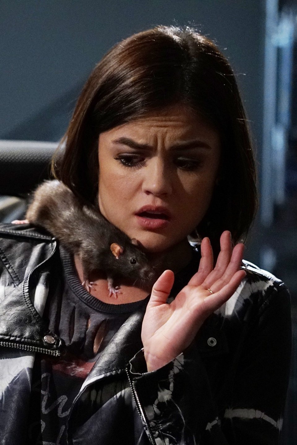 No Stone Unturned Pictures Rotten Tomatoes