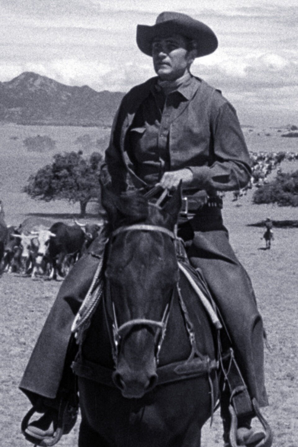 Incident of the Dry Drive Pictures Rotten Tomatoes