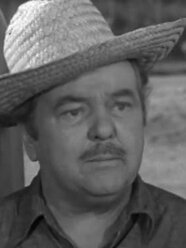 The New Neighbors Pictures Rotten Tomatoes The New Neighbors Pictures Rotten Tomatoes