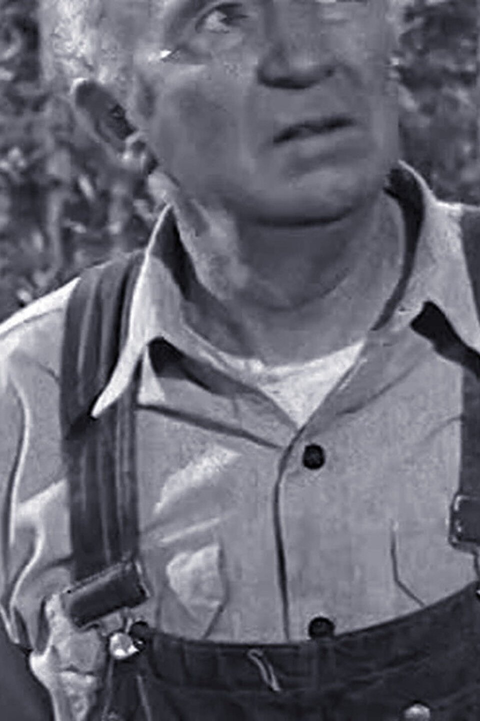 How to Paint a House Pictures Rotten Tomatoes