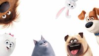 La Vida Secreta de tus Mascotas