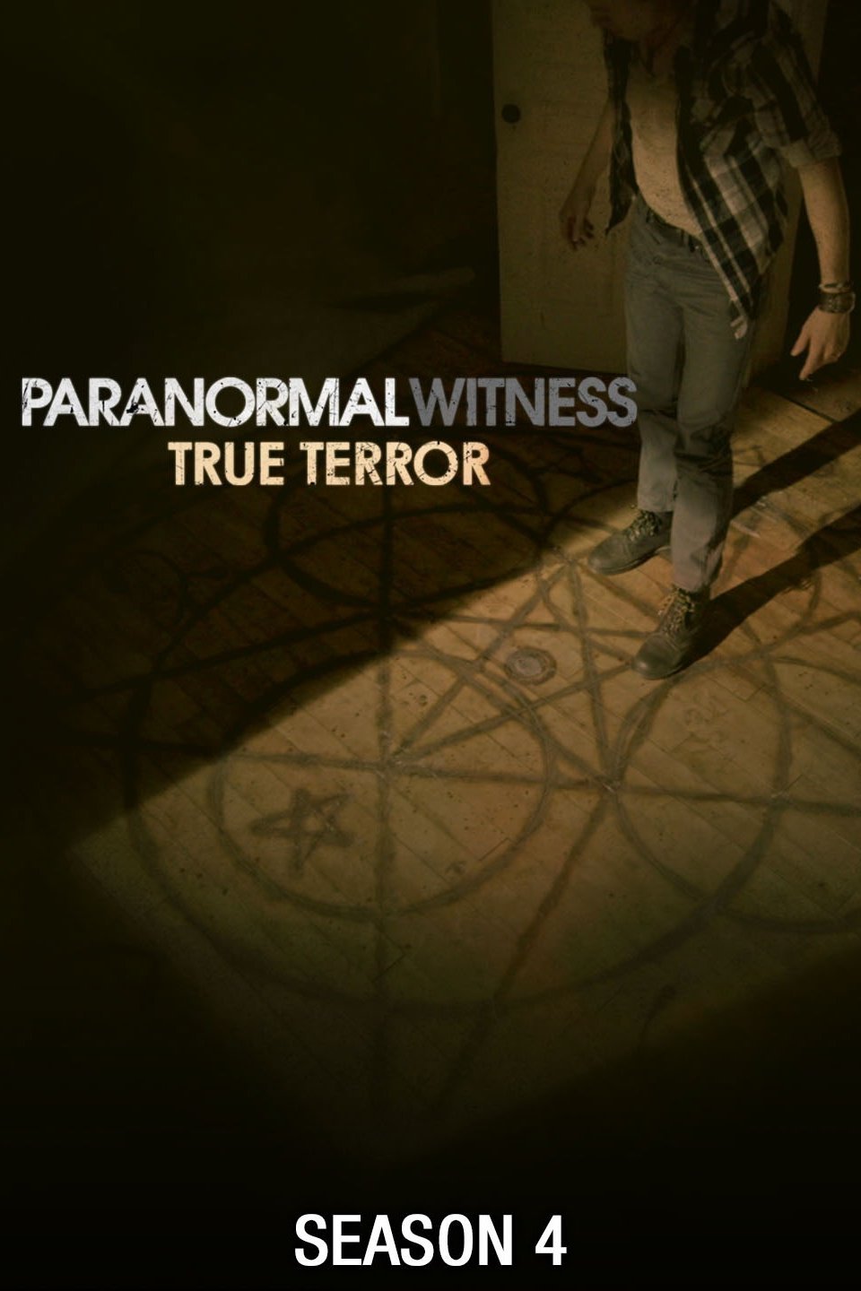 paranormal witness wikipedia