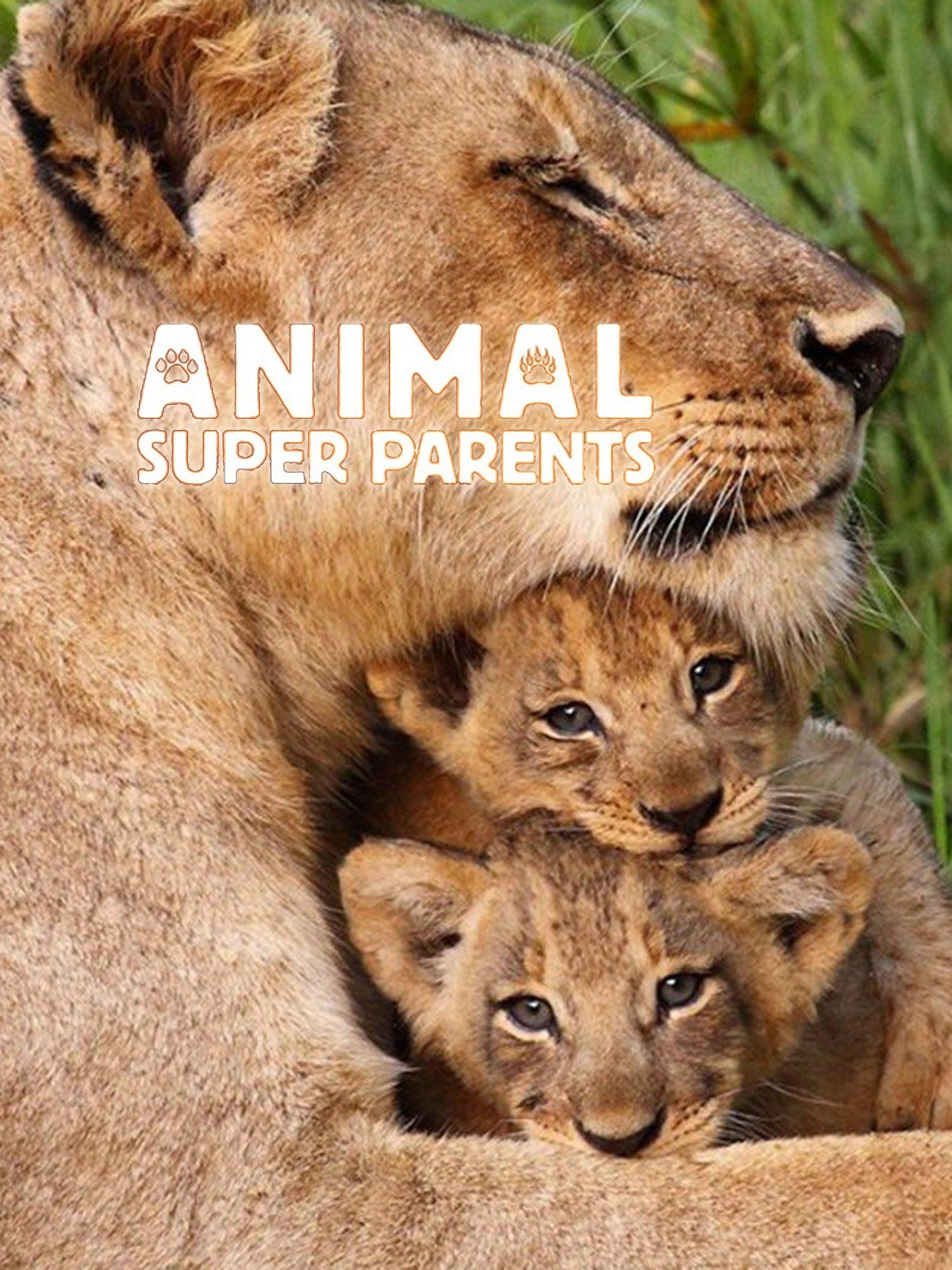 Animal Super Parents - Rotten Tomatoes