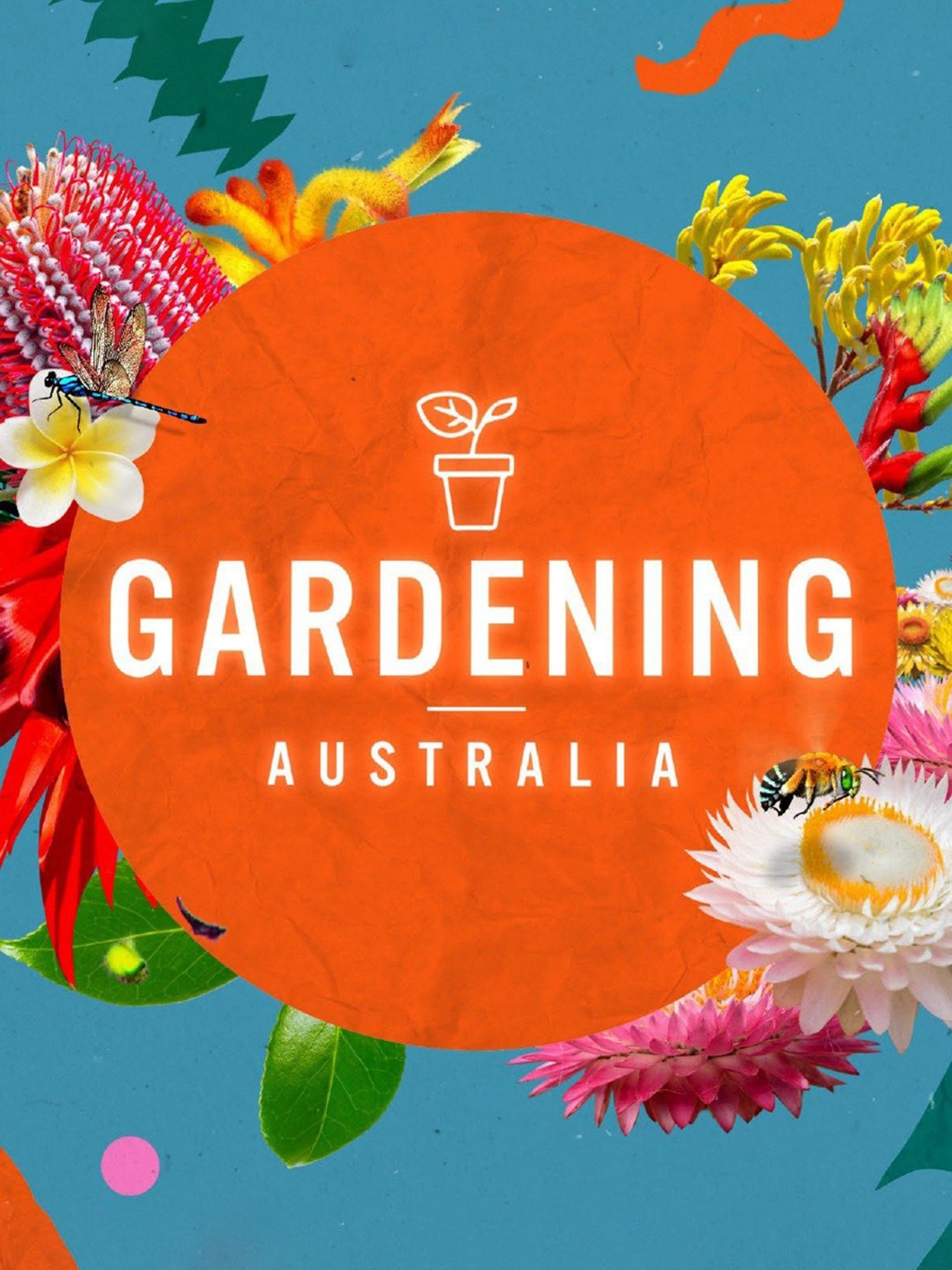 Gardening Australia Rotten Tomatoes