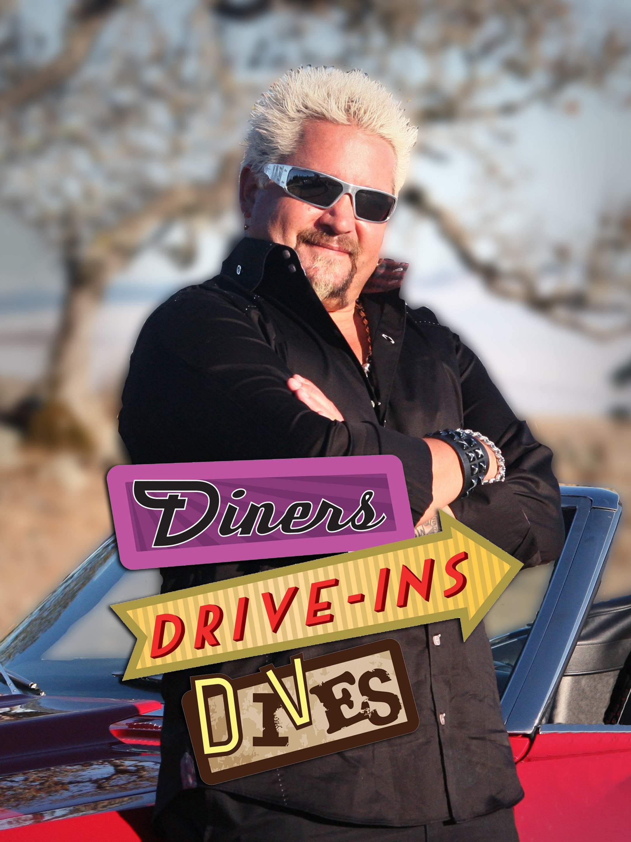 Diners, DriveIns and Dives (TV Series 2007 ) Posters — The Movie