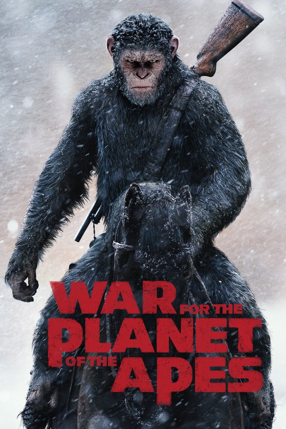 War for the of the Apes Trivia With Fans Exclusive Interview