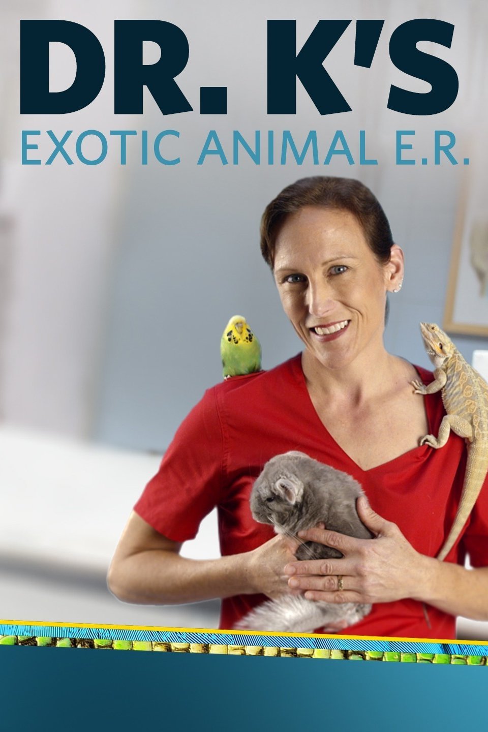 Dr. K's Exotic Animal ER Rotten Tomatoes