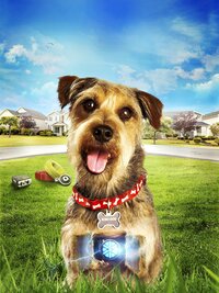 Mi Perro es un Robot