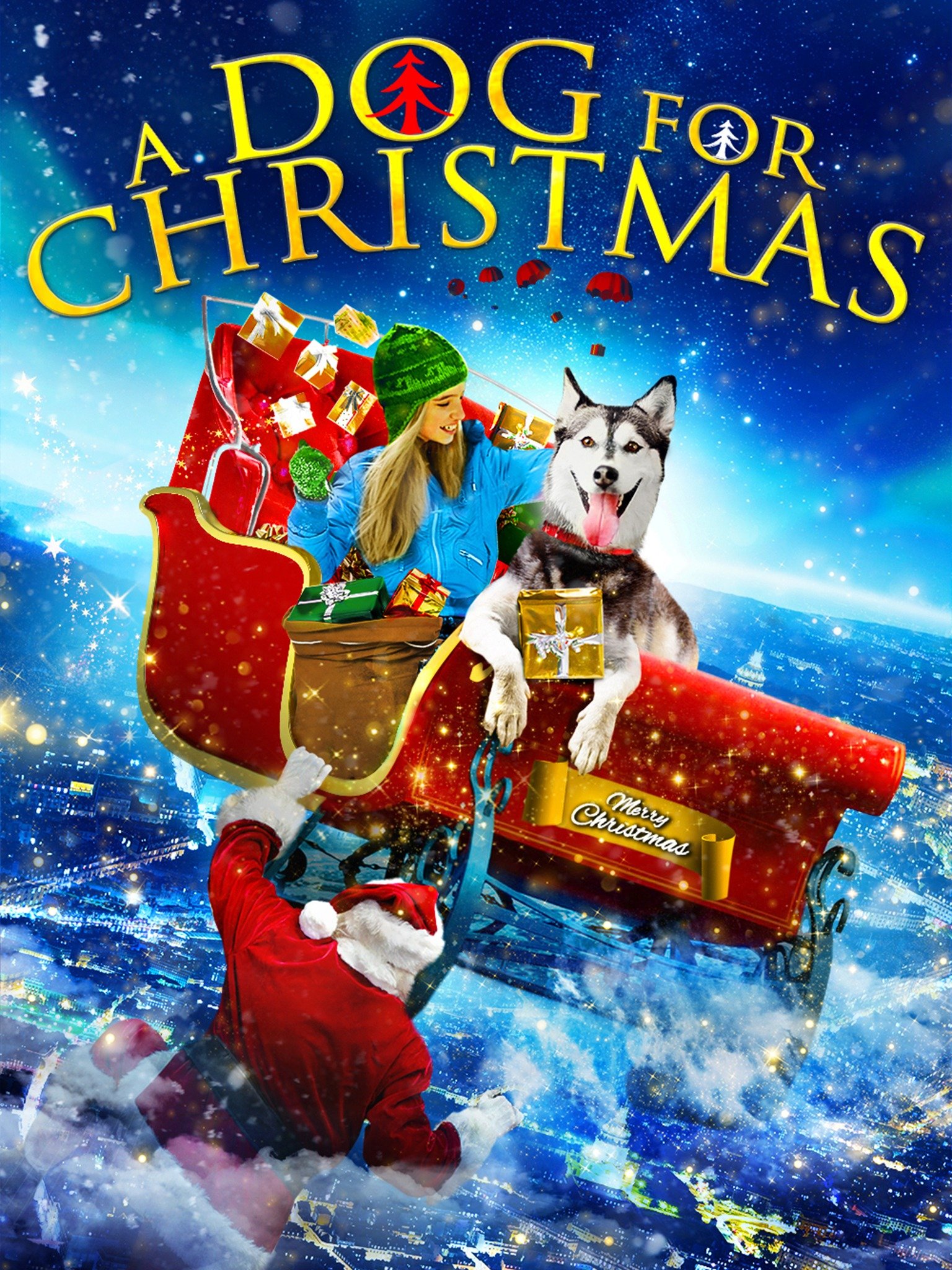 A Dog for Christmas Pictures Rotten Tomatoes